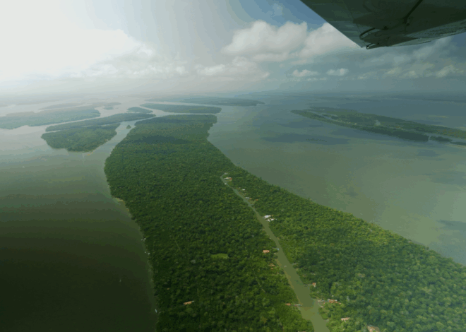 Brazil ‘surprised’ UK not investing in new rainforest fund it helped design | Science, Climate & Tech News