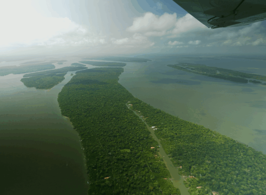 Brazil ‘surprised’ UK not investing in new rainforest fund it helped design | Science, Climate & Tech News