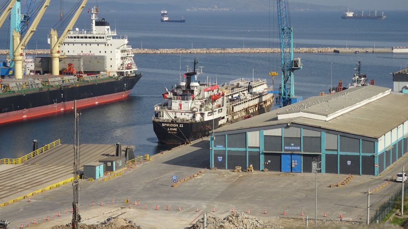 Stranded ship carrying nearly 3,000 cattle now at sea for 55 days | World News